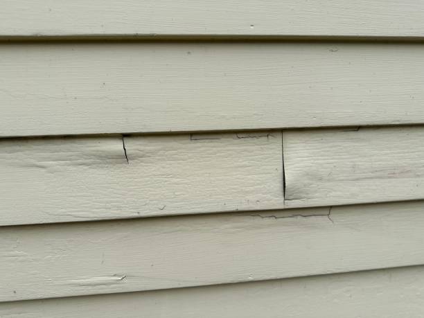 Best Historical Building Siding Restoration  in Red Wing, MN